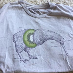 Anatomy Of A Kiwi Bird